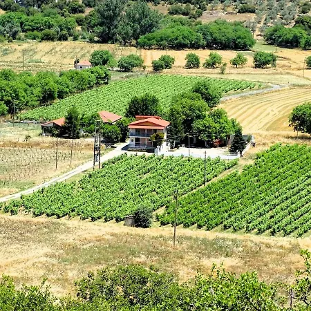Gortsouli Vineyard House Gvh Good Vibes Here * Pikernis