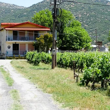 Gortsouli Vineyard House Gvh Good Vibes Here
