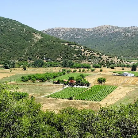 Gortsouli Vineyard House Gvh Good Vibes Here דירה *