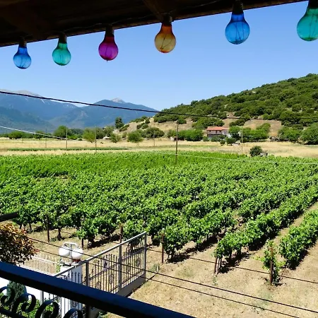 Gortsouli Vineyard House Gvh Good Vibes Here Pikernis