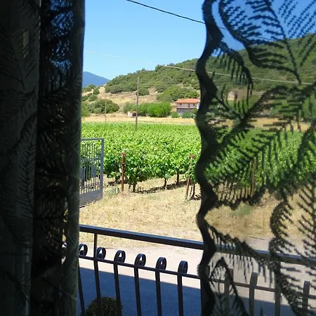 Gortsouli Vineyard House Gvh Good Vibes Here
