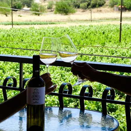 דירה Gortsouli Vineyard House Gvh Good Vibes Here *