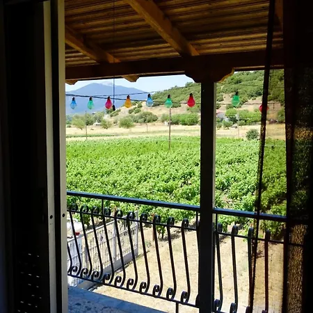 Gortsouli Vineyard House Gvh Good Vibes Here דירה *